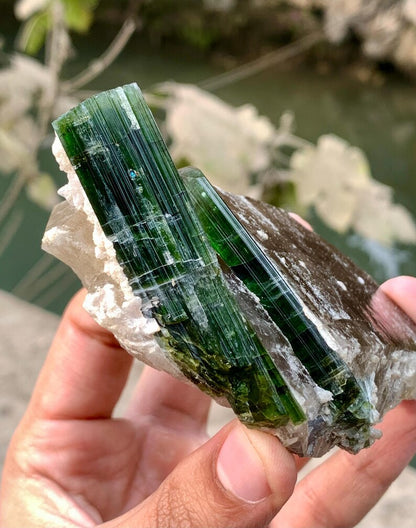 Green Tourmaline Crystals on Quartz from Afghanistan - 239 Gram