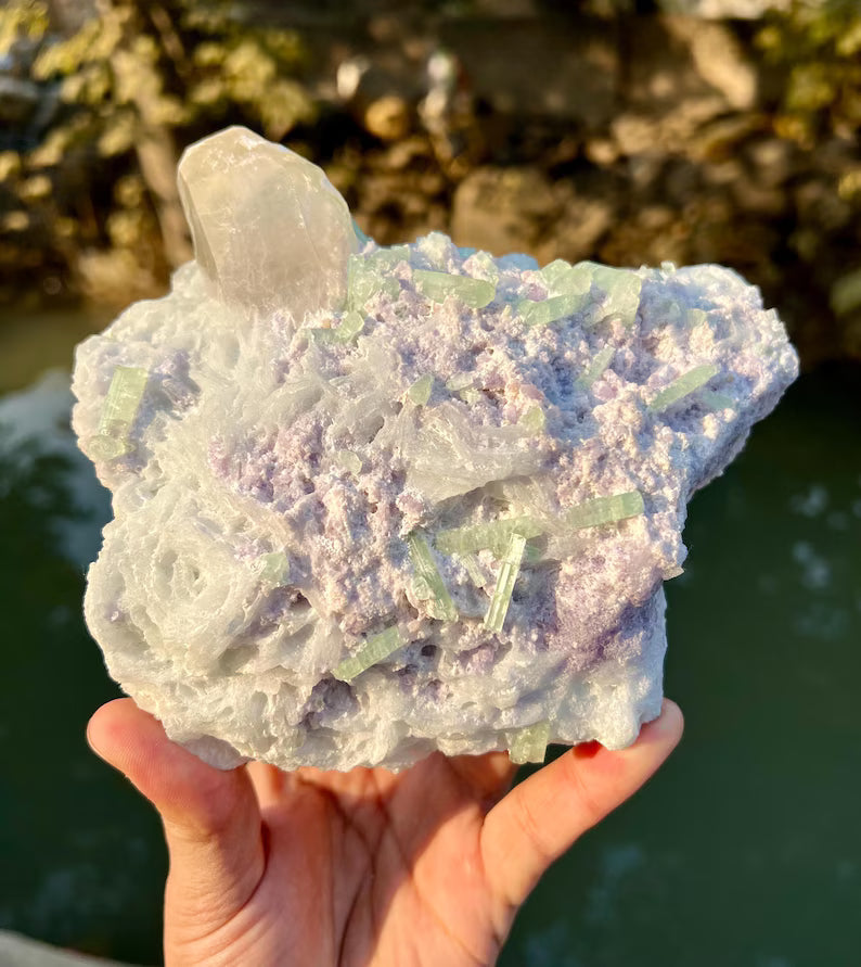 Green Tourmaline Crystals with Quartz on Lepidolite from Afghanistan - 580 Grams