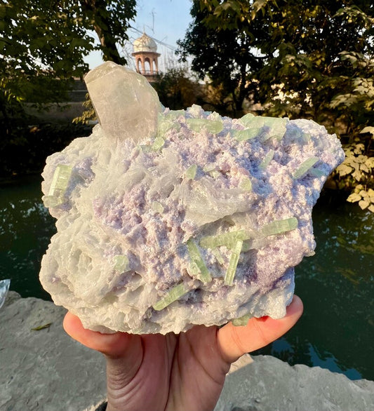 Green Tourmaline Crystals with Quartz on Lepidolite from Afghanistan - 580 Grams