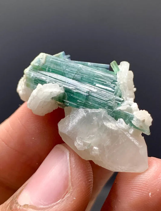 Indicolite Blue Tourmalines on Quartz from Afghanistan - 08 Grams