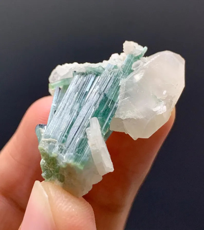 Indicolite Blue Tourmalines on Quartz from Afghanistan - 08 Grams