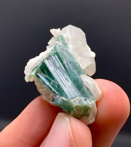 Indicolite Blue Tourmalines on Quartz from Afghanistan - 08 Grams
