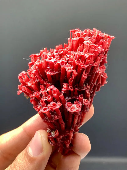 Unique Shape Natural Red Coral - 20 Gram