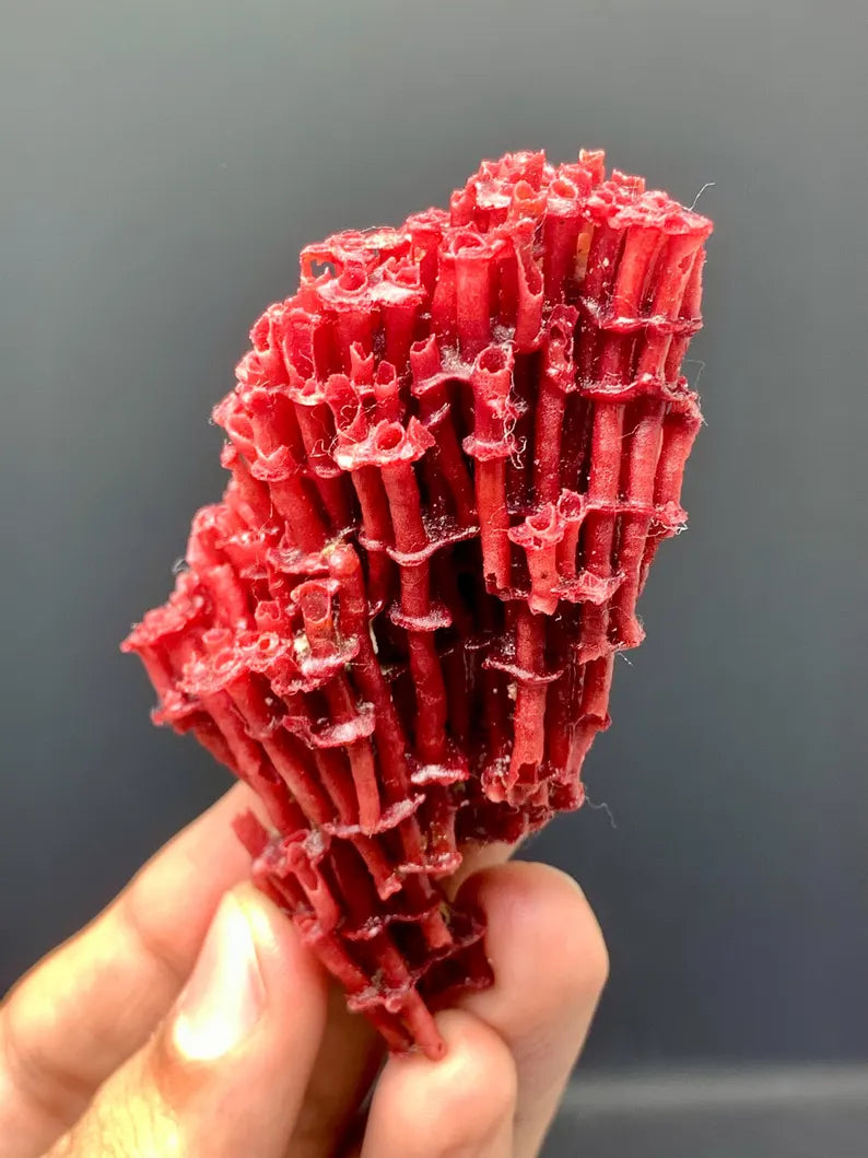 Unique Shape Natural Red Coral - 20 Gram