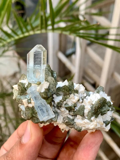 Diamond Cut Blue Aquamarine Crystals with Mica Specimen from Pakistan - 50 Gram