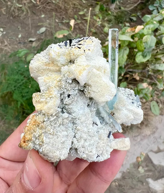 Transparent Blue Aquamarine with Schorl Tourmalines Combined from Pakistan