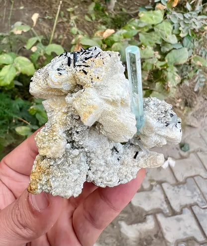 Transparent Blue Aquamarine with Schorl Tourmalines Combined from Pakistan