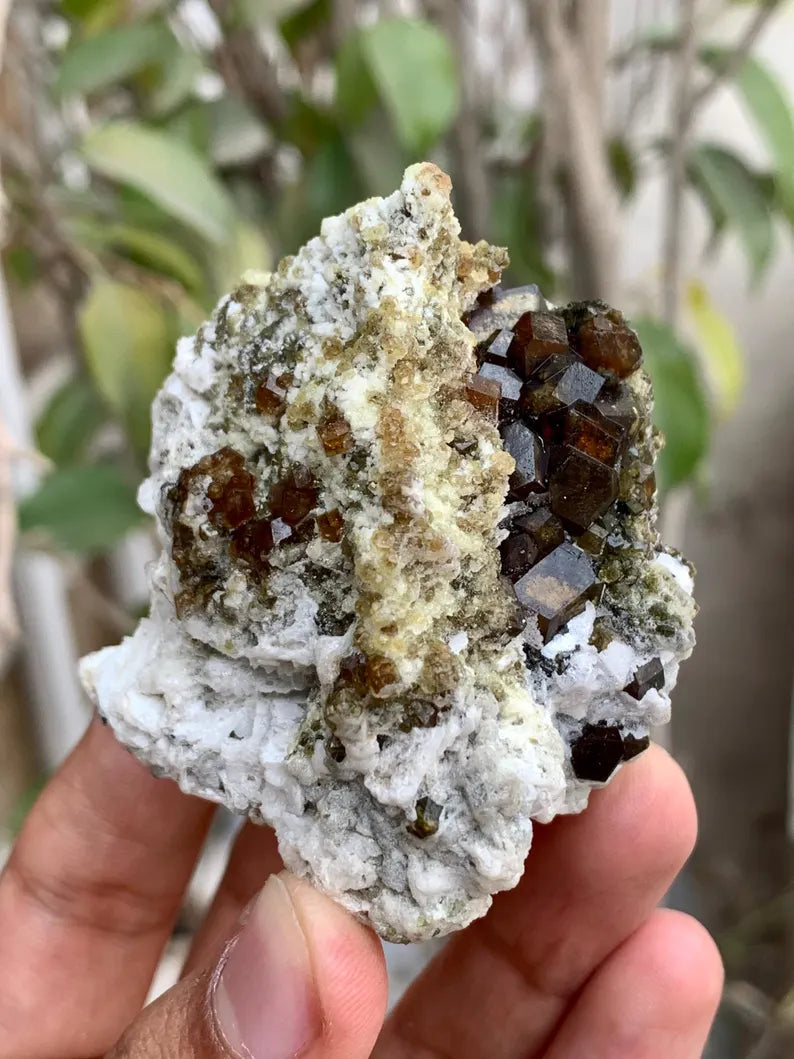 Rare Andradite Garnet Crystals on Matrix from Pakistan - 124 Gram