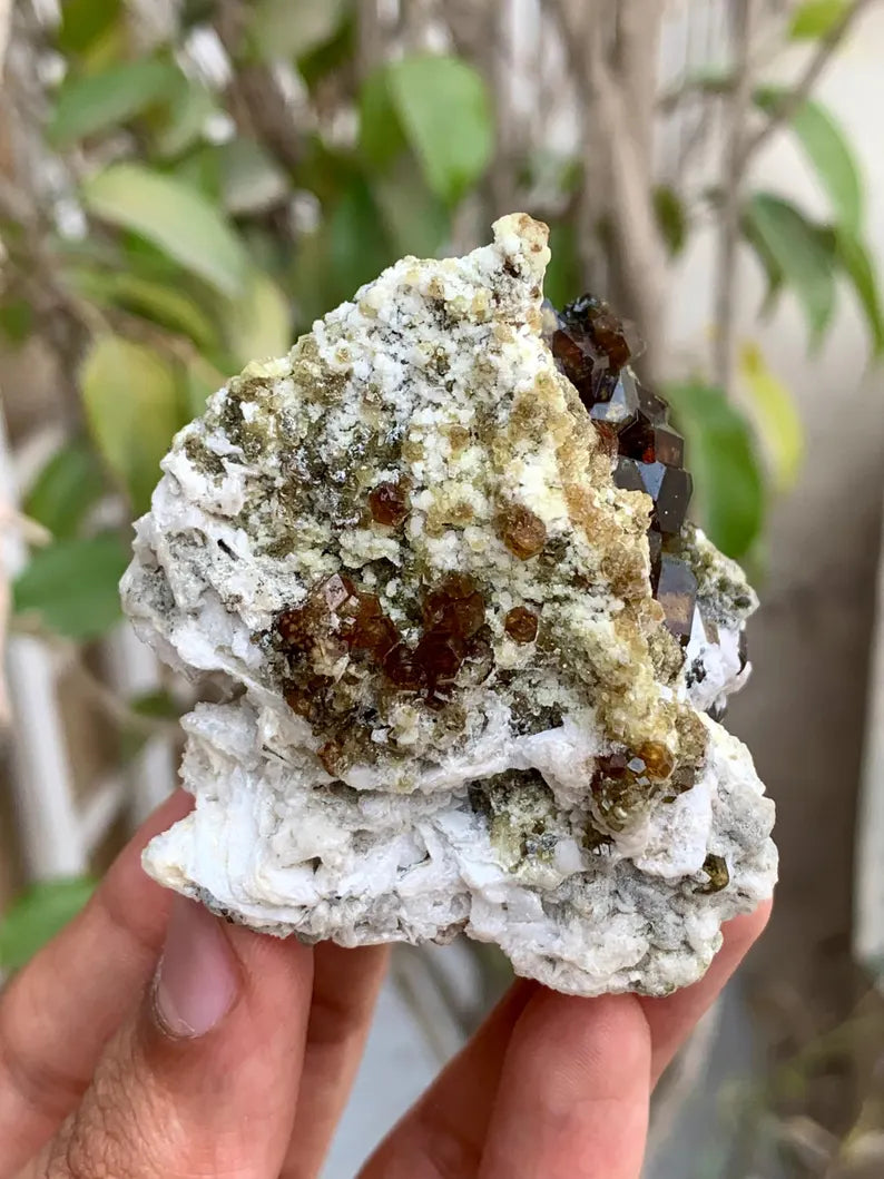 Rare Andradite Garnet Crystals on Matrix from Pakistan - 124 Gram