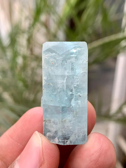 Diamond Cut Blue Aquamarine Crystals Gem from Afghanistan