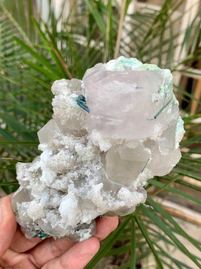 Pink Morganite with Blue Tourmaline and Quartz combined specimen from Afghanistan - 342 Gram