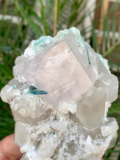Pink Morganite with Blue Tourmaline and Quartz combined specimen from Afghanistan - 342 Gram