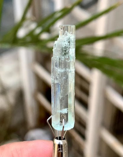 Sky Blue Aquamarine Crystal from Pakistan - 11.00 Carats