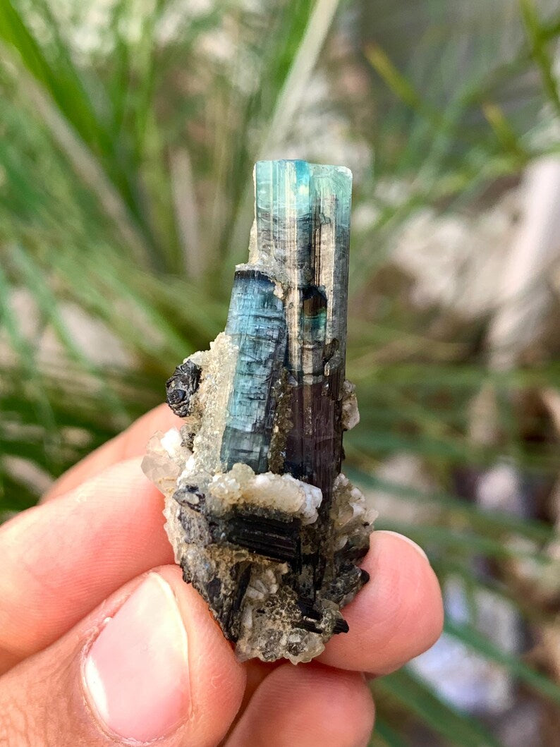 Bicolor Tourmaline Crystalls with Quartz combined from Afghanistan - 14 Gram