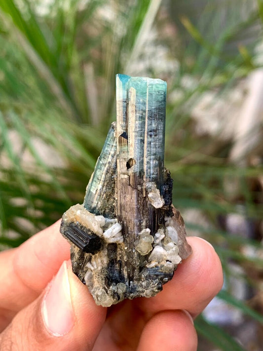 Bicolor Tourmaline Crystalls with Quartz combined from Afghanistan - 14 Gram