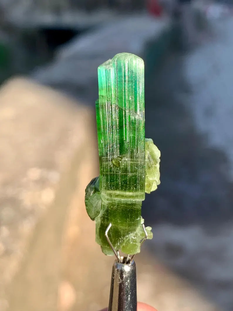 Bluish Green Tourmaline Crystal from Afghanistan - 27.00 Carats