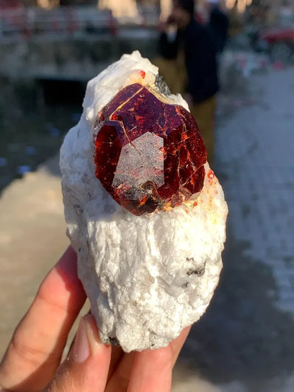 Collection Grade Red Garnet Crystal on Matrix from Pakistan - 298 Gram