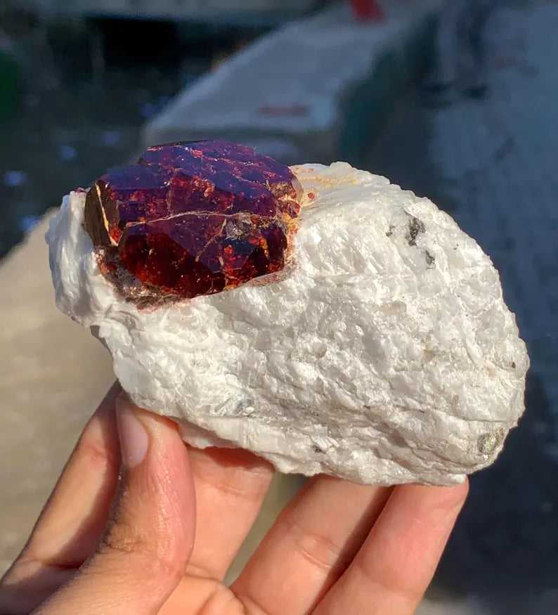 Collection Grade Red Garnet Crystal on Matrix from Pakistan - 298 Gram