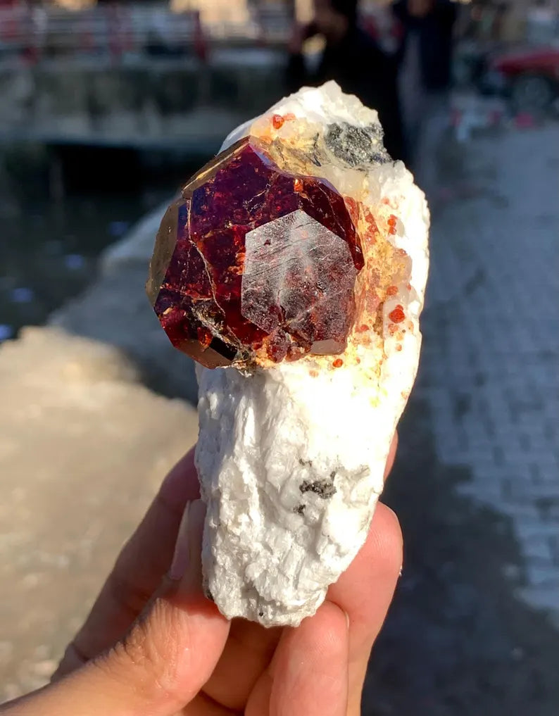 Collection Grade Red Garnet Crystal on Matrix from Pakistan - 298 Gram