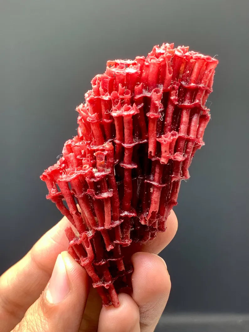 Unique Shape Natural Red Coral - 20 Gram
