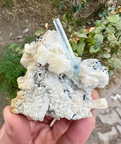 Transparent Blue Aquamarine with Schorl Tourmalines Combined from Pakistan