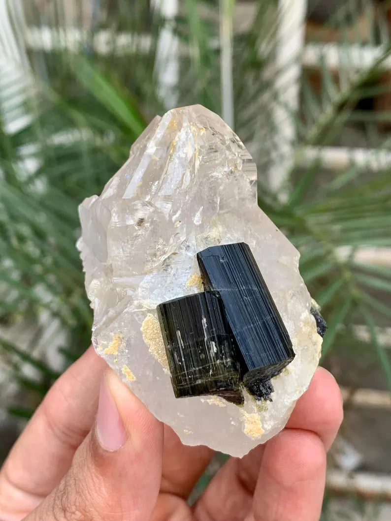 Twinned Black Tourmaline Crystals on Quartz from Pakistan - 102 Gram
