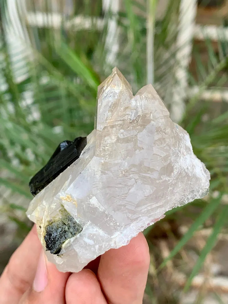 Twinned Black Tourmaline Crystals on Quartz from Pakistan - 102 Gram