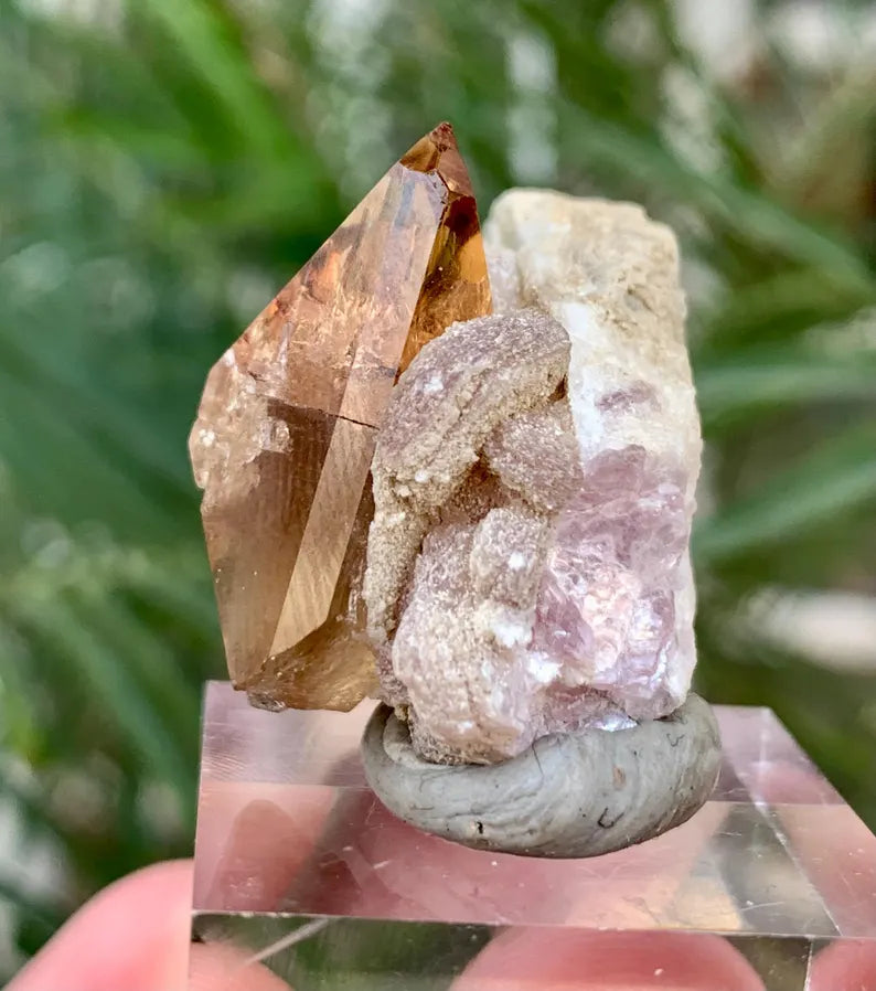 Golden Topaz with Lepidolite from Pakistan - 18 Gram