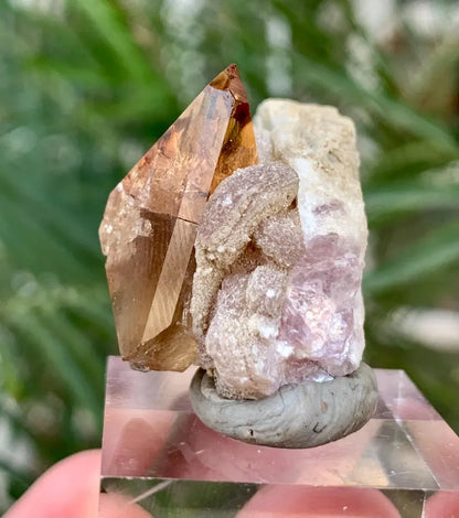 Golden Topaz with Lepidolite from Pakistan - 18 Gram