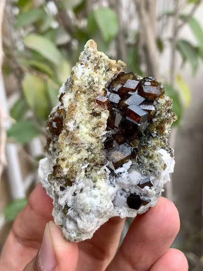 Rare Andradite Garnet Crystals on Matrix from Pakistan - 124 Gram