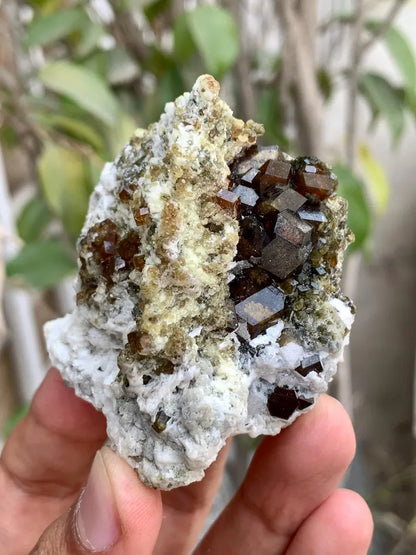 Rare Andradite Garnet Crystals on Matrix from Pakistan - 124 Gram
