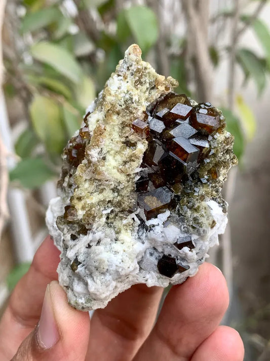 Rare Andradite Garnet Crystals on Matrix from Pakistan - 124 Gram