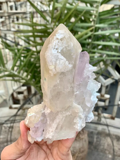 Fluorescent Pink Kunzite with Indicolite tourmalines and Quartz from Afghanistan - 380 Gram