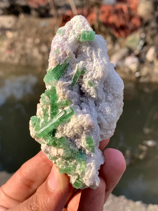 Blusih Green Tourmaline Crystals on Lepidolite from Afghanistan - 70 Gram