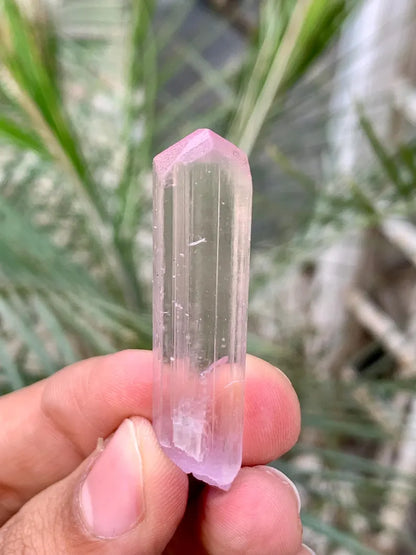 Transparent Pink FLuorescent Kunzite Crystal from Afghanistan - 11 Gram