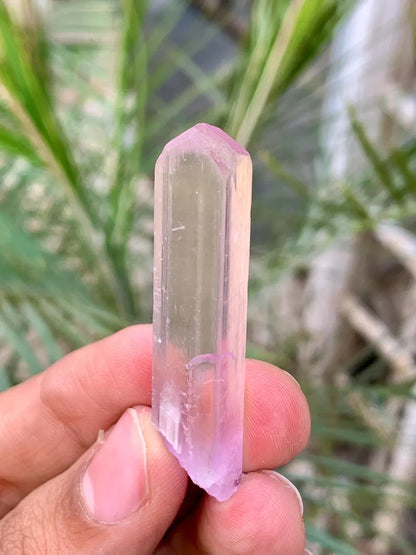 Transparent Pink FLuorescent Kunzite Crystal from Afghanistan - 11 Gram