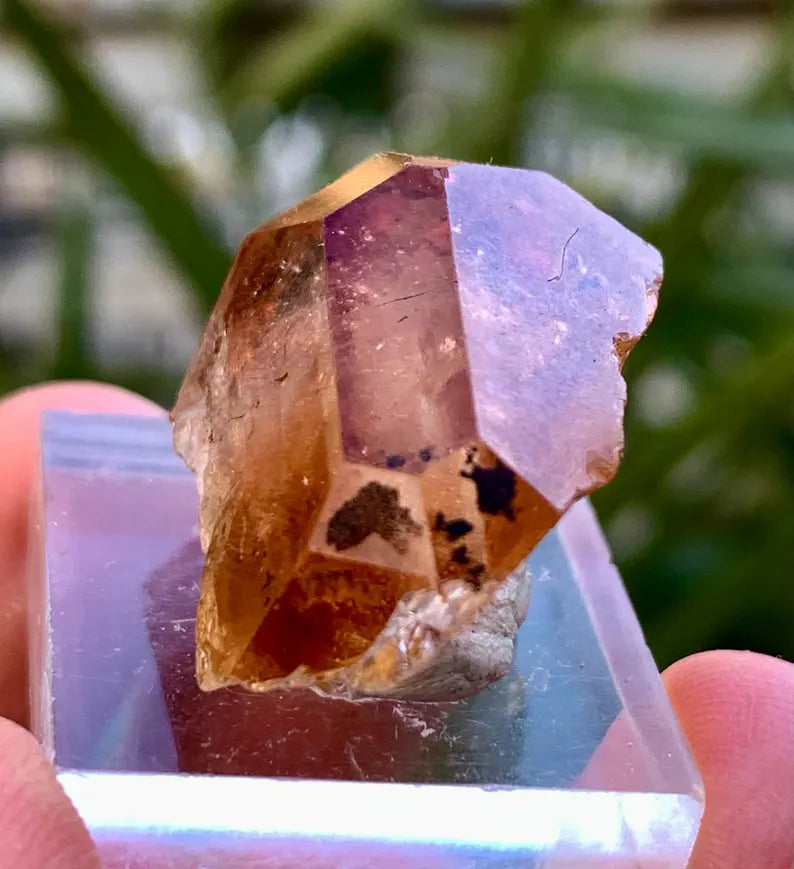Rich Golden Color Topaz Crystal from Pakistan - 12 Gram