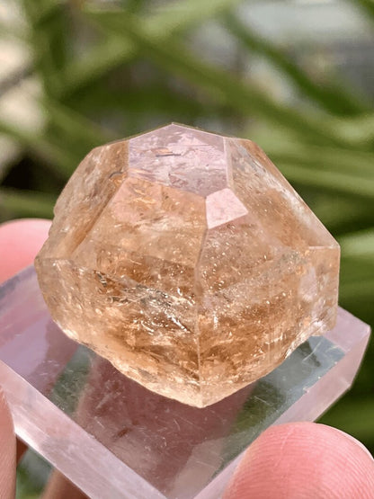 Dimaond Cut Golden Topaz Crystal from Pakistan - 63.0 Carats