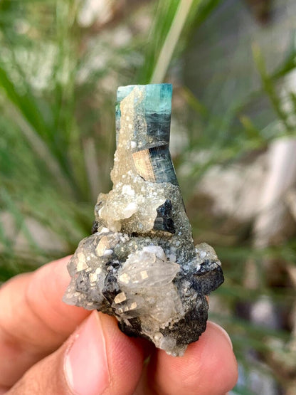 Bicolor Tourmaline Crystalls with Quartz combined from Afghanistan - 14 Gram
