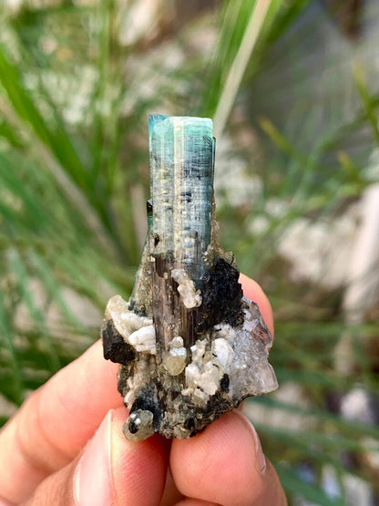 Bicolor Tourmaline Crystalls with Quartz combined from Afghanistan - 14 Gram