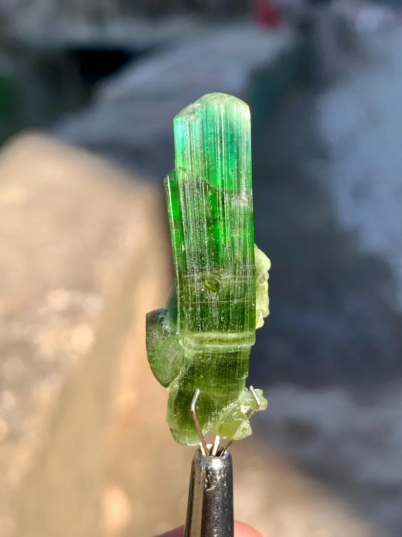 Bluish Green Tourmaline Crystal from Afghanistan - 27.00 Carats