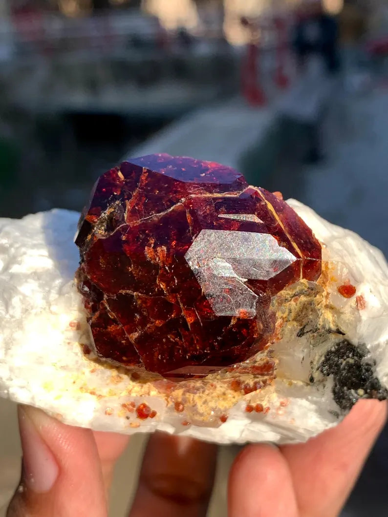 Collection Grade Red Garnet Crystal on Matrix from Pakistan - 298 Gram