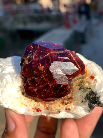 Collection Grade Red Garnet Crystal on Matrix from Pakistan - 298 Gram