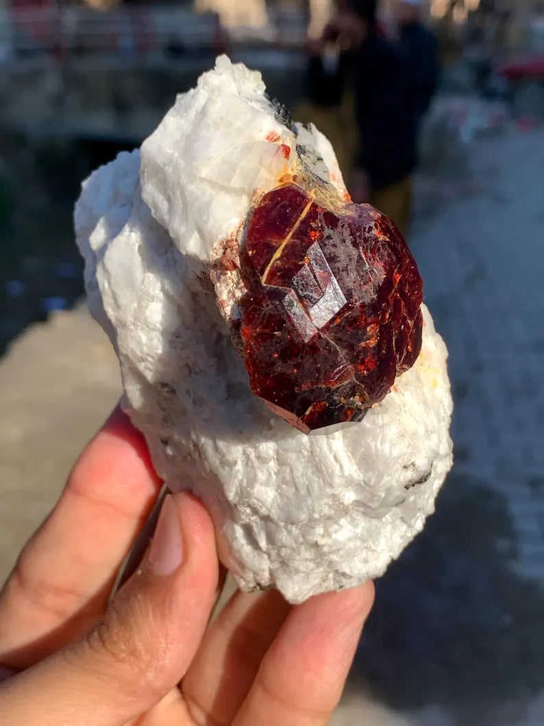 Collection Grade Red Garnet Crystal on Matrix from Pakistan - 298 Gram