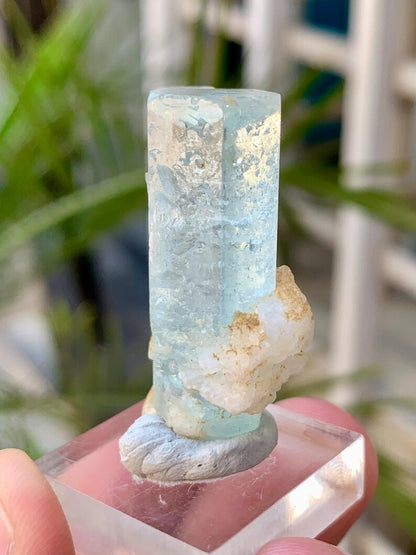 Sky Blue Aquamarine Crystal from Afghanistan - 55.00 Carats