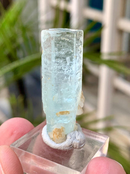 Sky Blue Aquamarine Crystal from Afghanistan - 55.00 Carats
