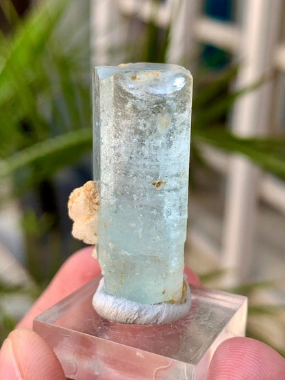 Sky Blue Aquamarine Crystal from Afghanistan - 55.00 Carats