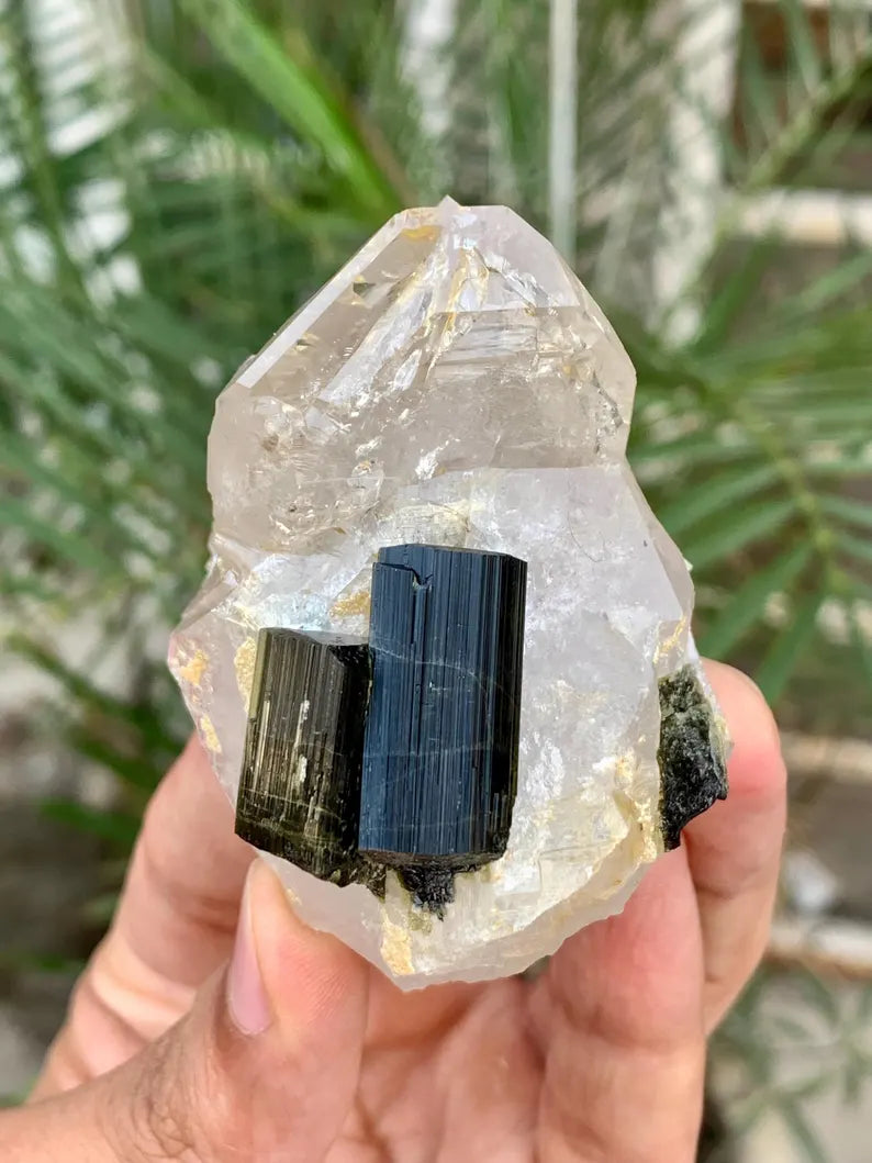 Twinned Black Tourmaline Crystals on Quartz from Pakistan - 102 Gram