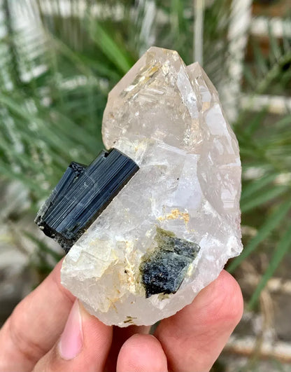 Twinned Black Tourmaline Crystals on Quartz from Pakistan - 102 Gram