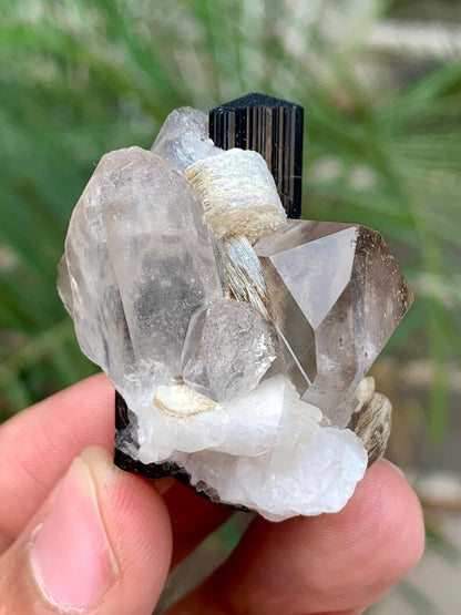 Schorl Black Tourmaline with Quartz combined Specimen from Pakistan - 39 Gram